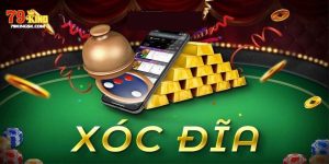 Chơi Xóc Đĩa 79King - Sảnh Cược Giải Trí Đi Đầu 2025